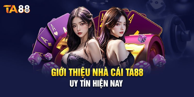 Đôi nét về STA88